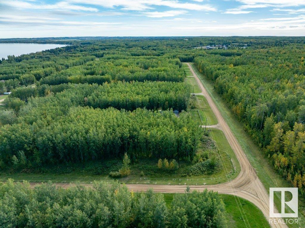 12 Crystal Keys, Rural Wetaskiwin County, Alberta  T0C 2V0 - Photo 14 - E4404739