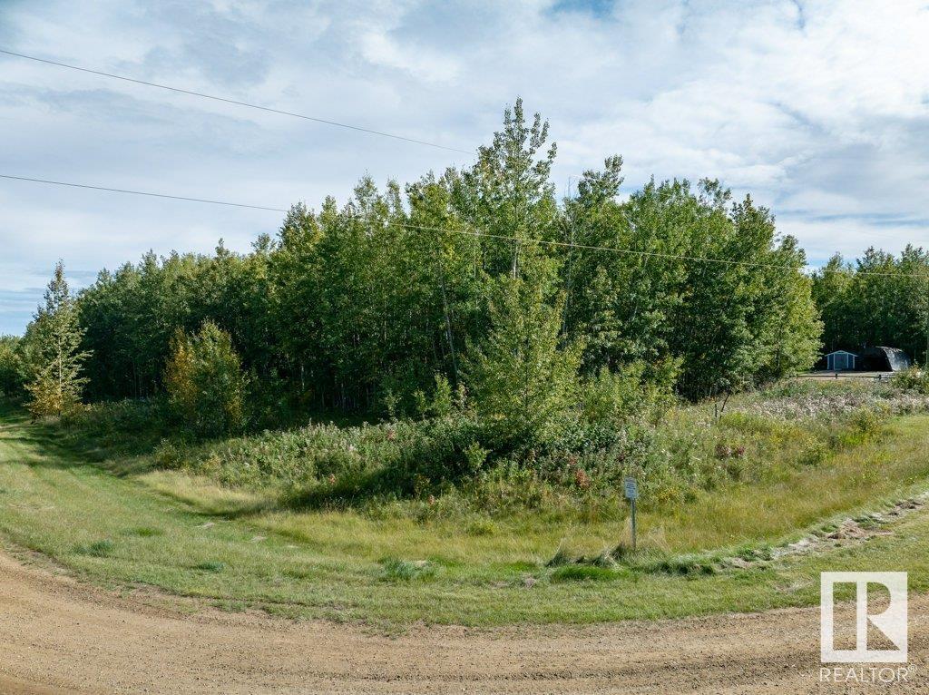 12 Crystal Keys, Rural Wetaskiwin County, Alberta  T0C 2V0 - Photo 4 - E4404739