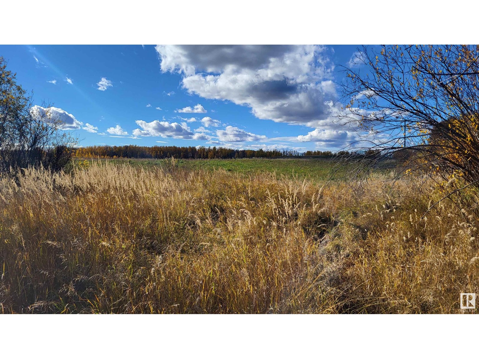 50323 Range Road 65, Rural Brazeau County, Alberta  T7A 2A2 - Photo 67 - E4404872