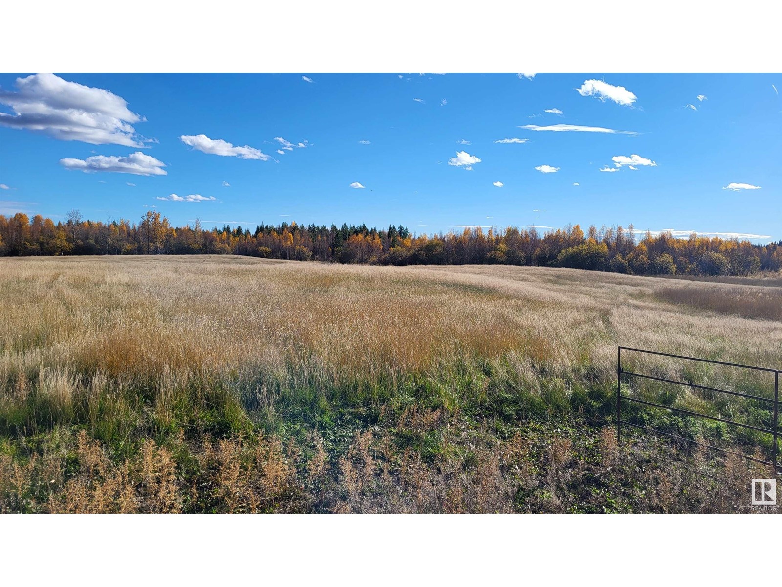 50323 Range Road 65, Rural Brazeau County, Alberta  T7A 2A2 - Photo 68 - E4404872