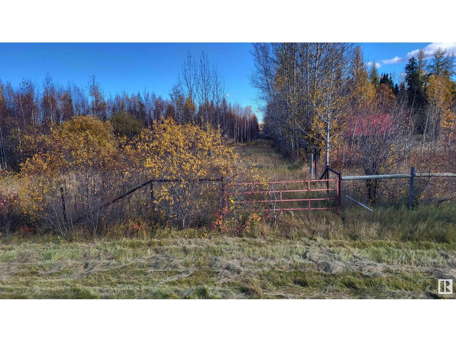 50323 Range Road 65, Rural Brazeau County, Alberta  T7A 2A2 - Photo 75 - E4404872