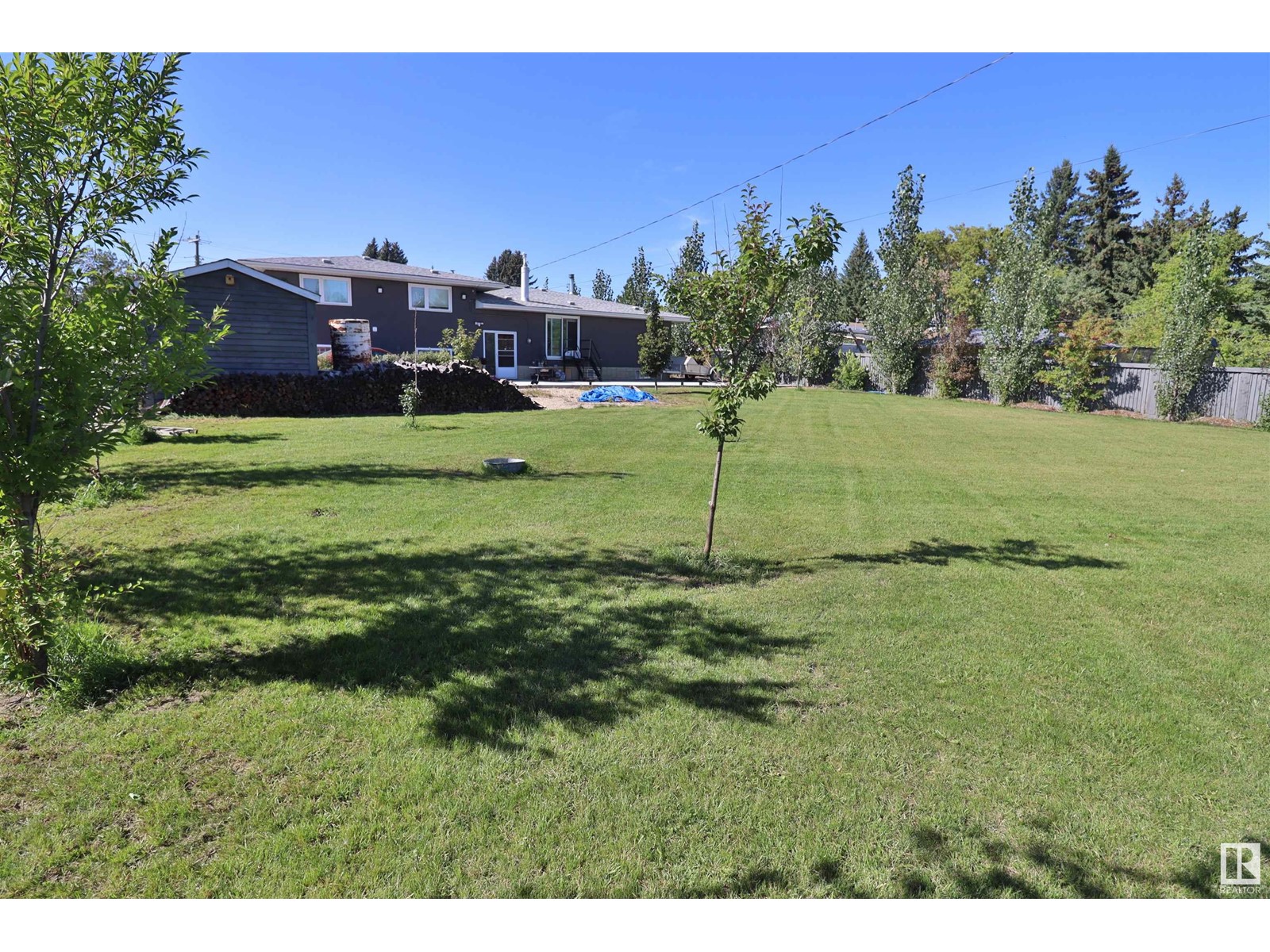 4601 52 St, Thorsby, Alberta  T0C 2P0 - Photo 11 - E4405943