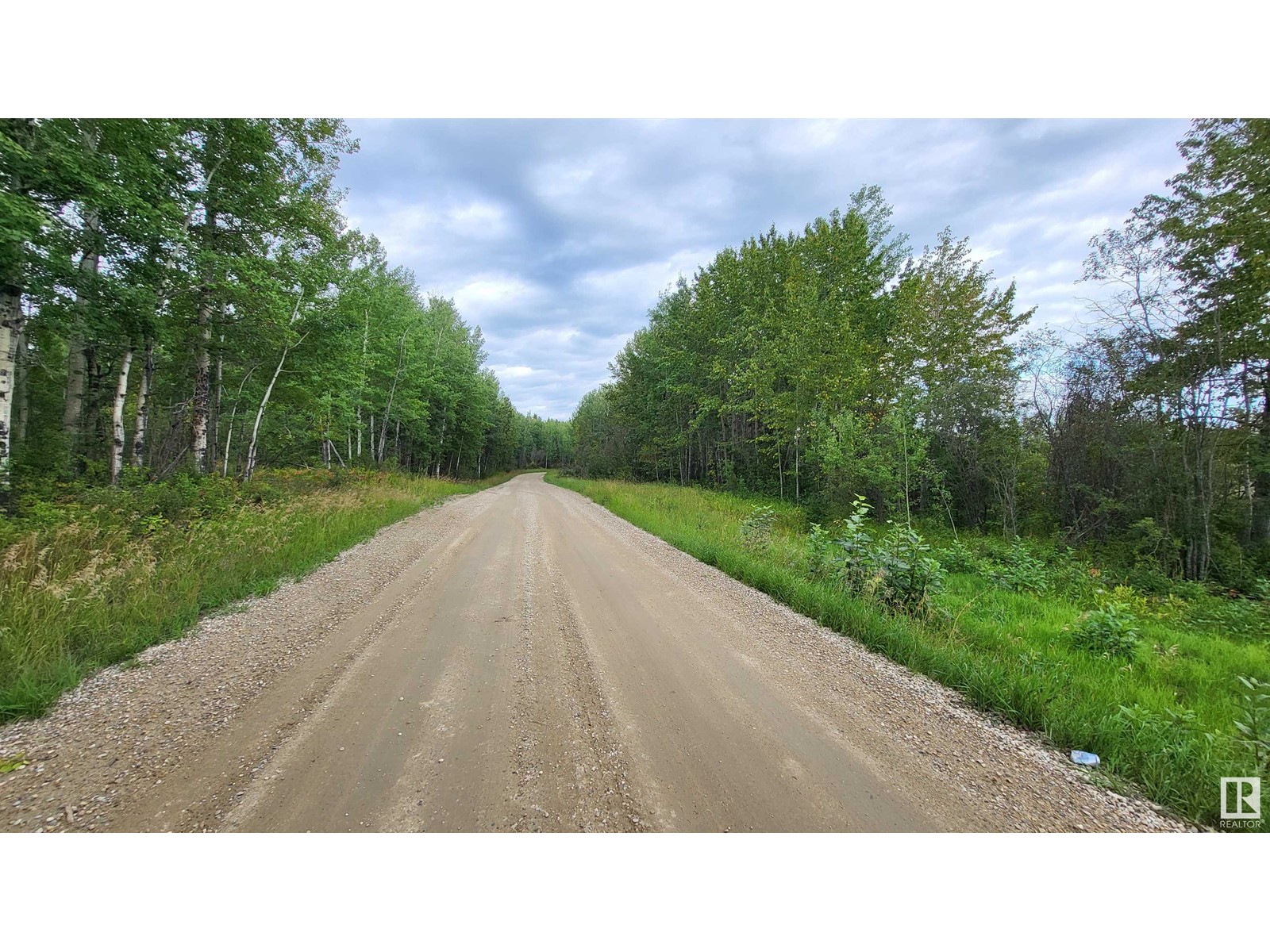 Lot 1 Twp 504 Range Road 65, Rural Brazeau County, Alberta  T7A 2A2 - Photo 3 - E4406110