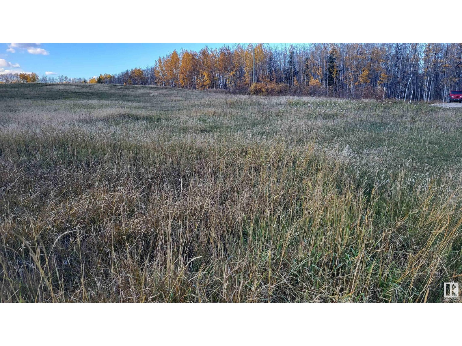 Lot 2 Twp 504 Range Road 65, Rural Brazeau County, Alberta  T7A 2A2 - Photo 2 - E4406124