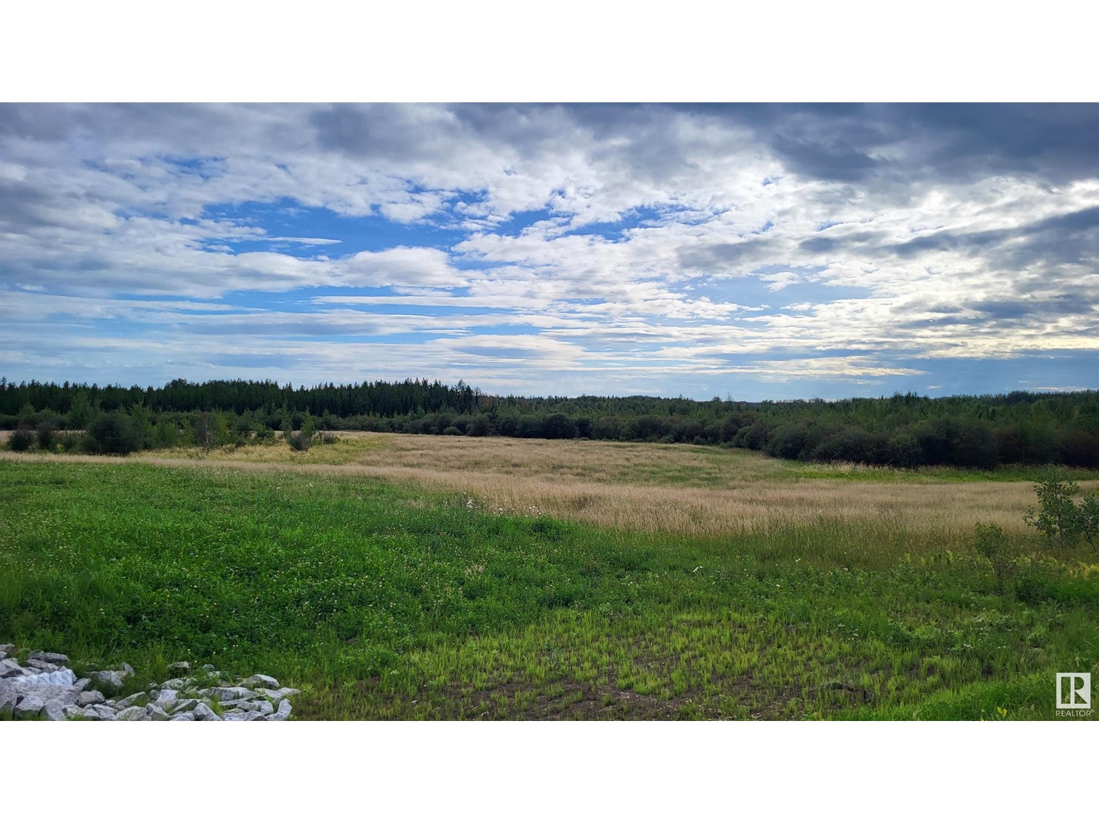 Lot 2 Twp 504 Range Road 65, Rural Brazeau County, Alberta  T7A 2A2 - Photo 6 - E4406124