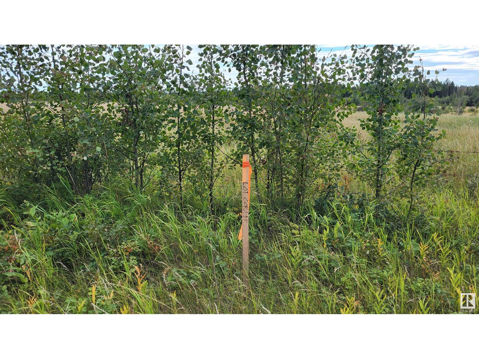 Lot 2 Twp 504 Range Road 65, Rural Brazeau County, Alberta  T7A 2A2 - Photo 9 - E4406124