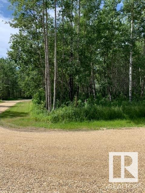 138 5519 Twp Rd 550, Rural Lac Ste. Anne County, Alberta  T0E 0L0 - Photo 9 - E4406283