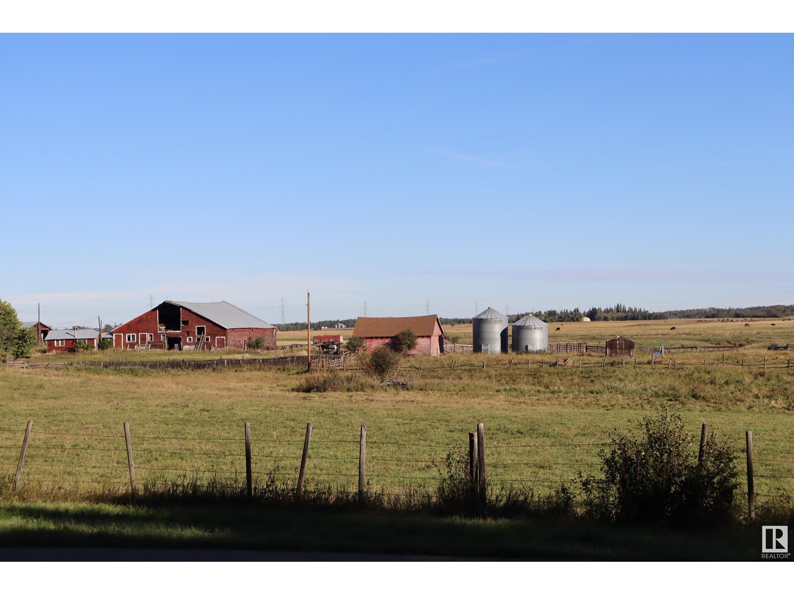 5155 53 Ave, Millet, Alberta  T0C 1Z0 - Photo 18 - E4406312