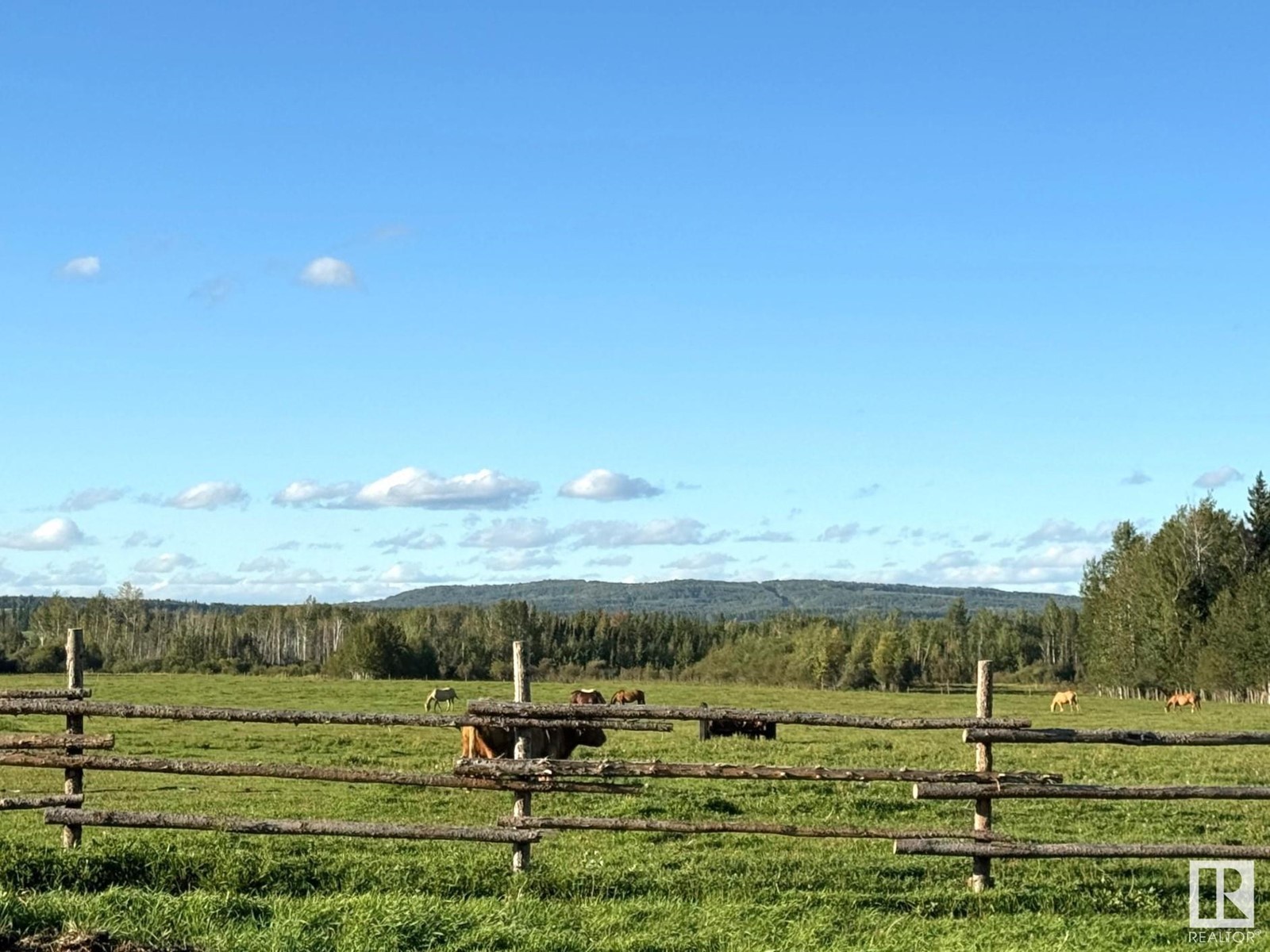 55017 Highway 751, Rural Yellowhead, Alberta  T0E 1S0 - Photo 24 - E4406448