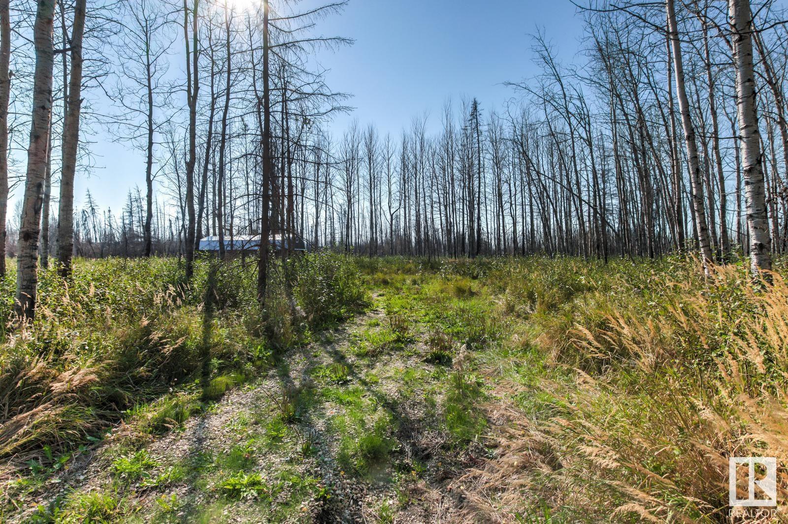 #88 9004 Hwy 16, Rural Yellowhead, Alberta  T0E 2M0 - Photo 10 - E4406604