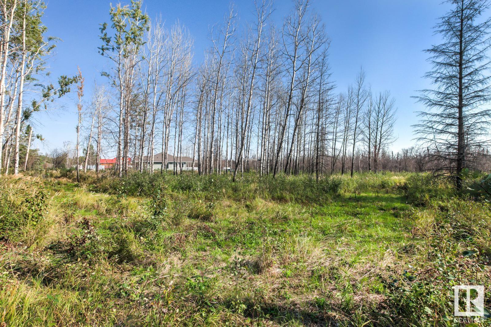 #88 9004 Hwy 16, Rural Yellowhead, Alberta  T0E 2M0 - Photo 14 - E4406604