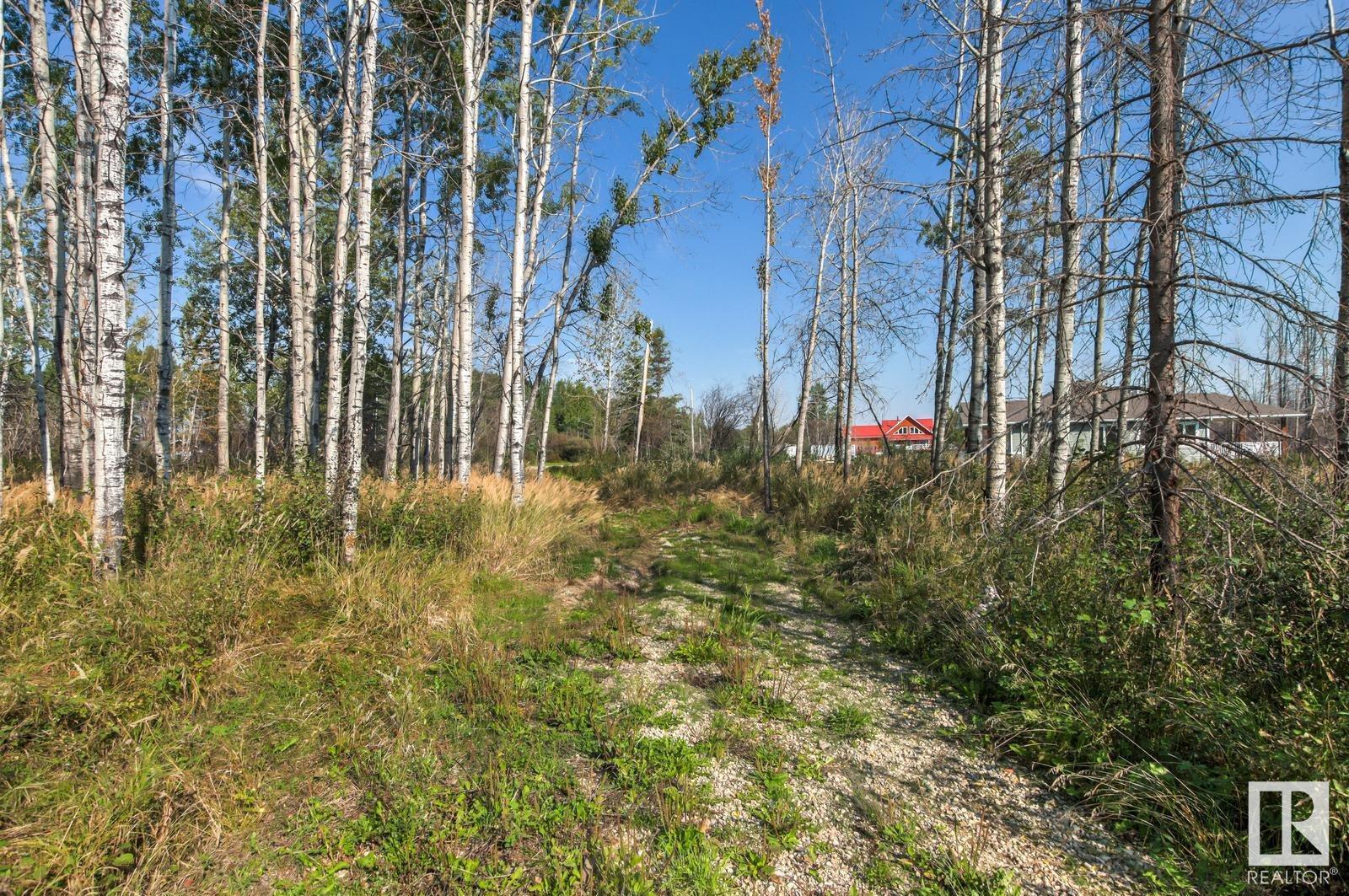 #88 9004 Hwy 16, Rural Yellowhead, Alberta  T0E 2M0 - Photo 9 - E4406604