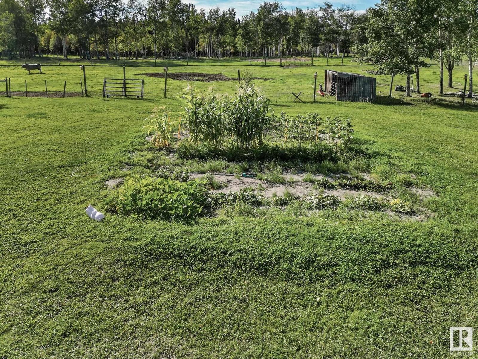 5317 Twp Road 522, Rural Parkland County, Alberta  T0E 2H0 - Photo 27 - E4406808