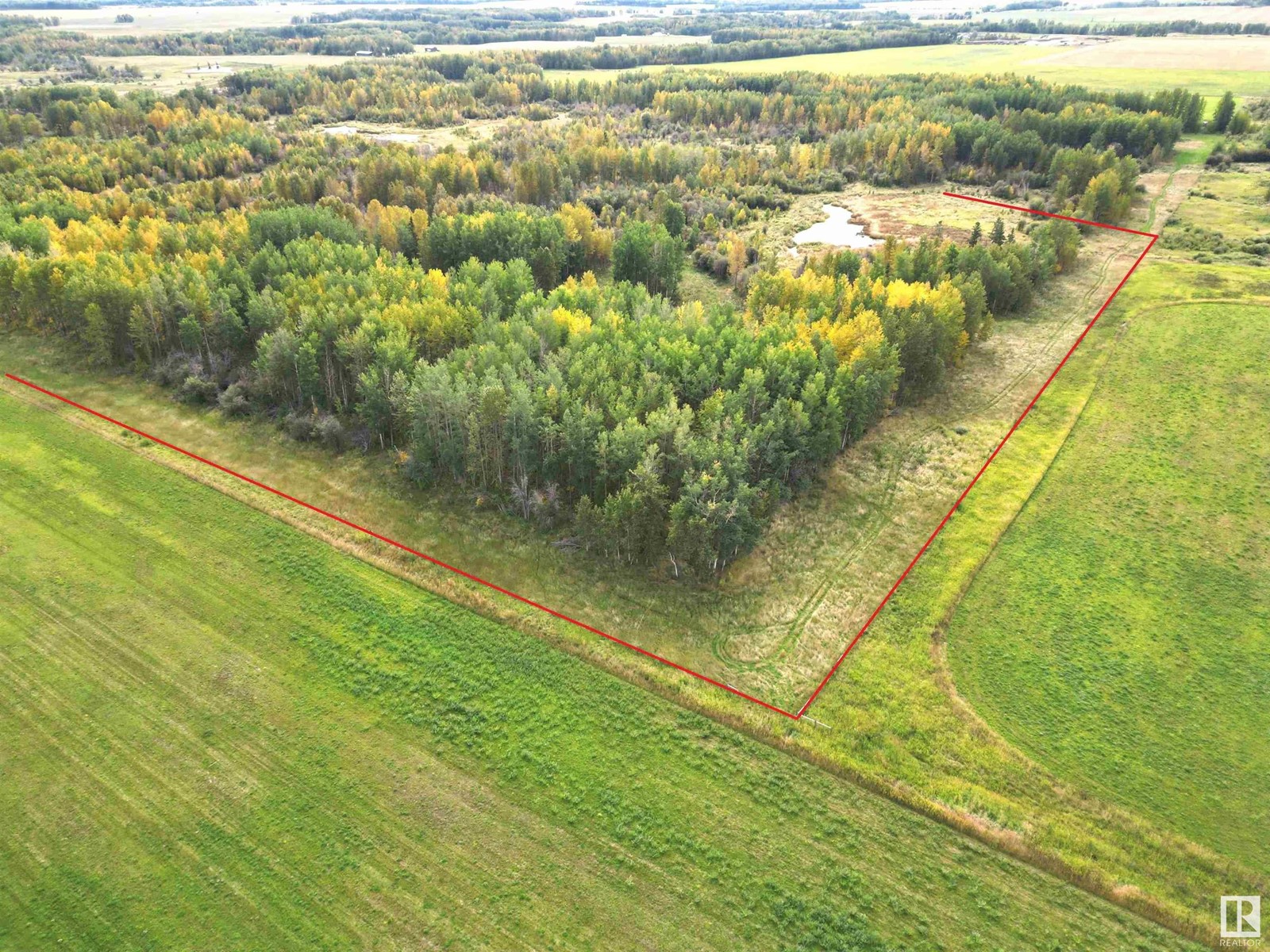 47516 Rge Rd 53, Rural Brazeau County, Alberta  T0C 0P0 - Photo 3 - E4407241