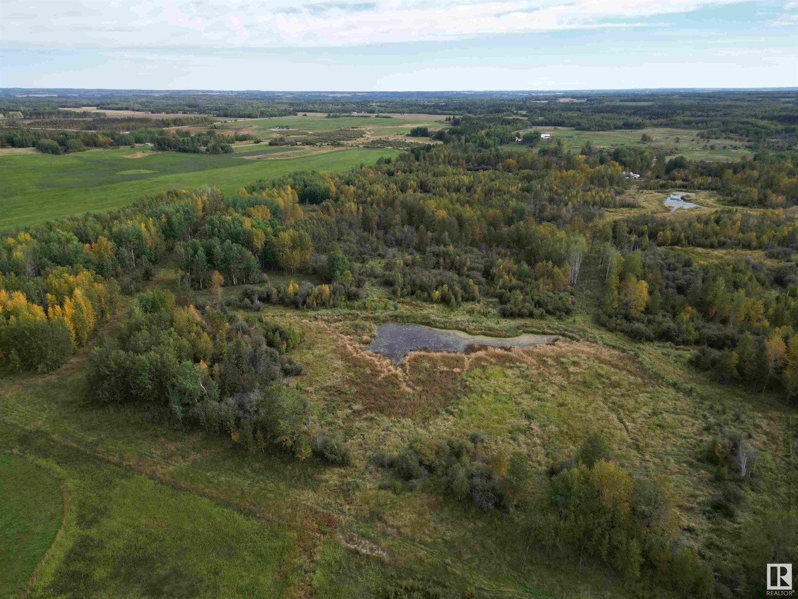 47516 Rge Rd 53, Rural Brazeau County, Alberta  T0C 0P0 - Photo 6 - E4407241