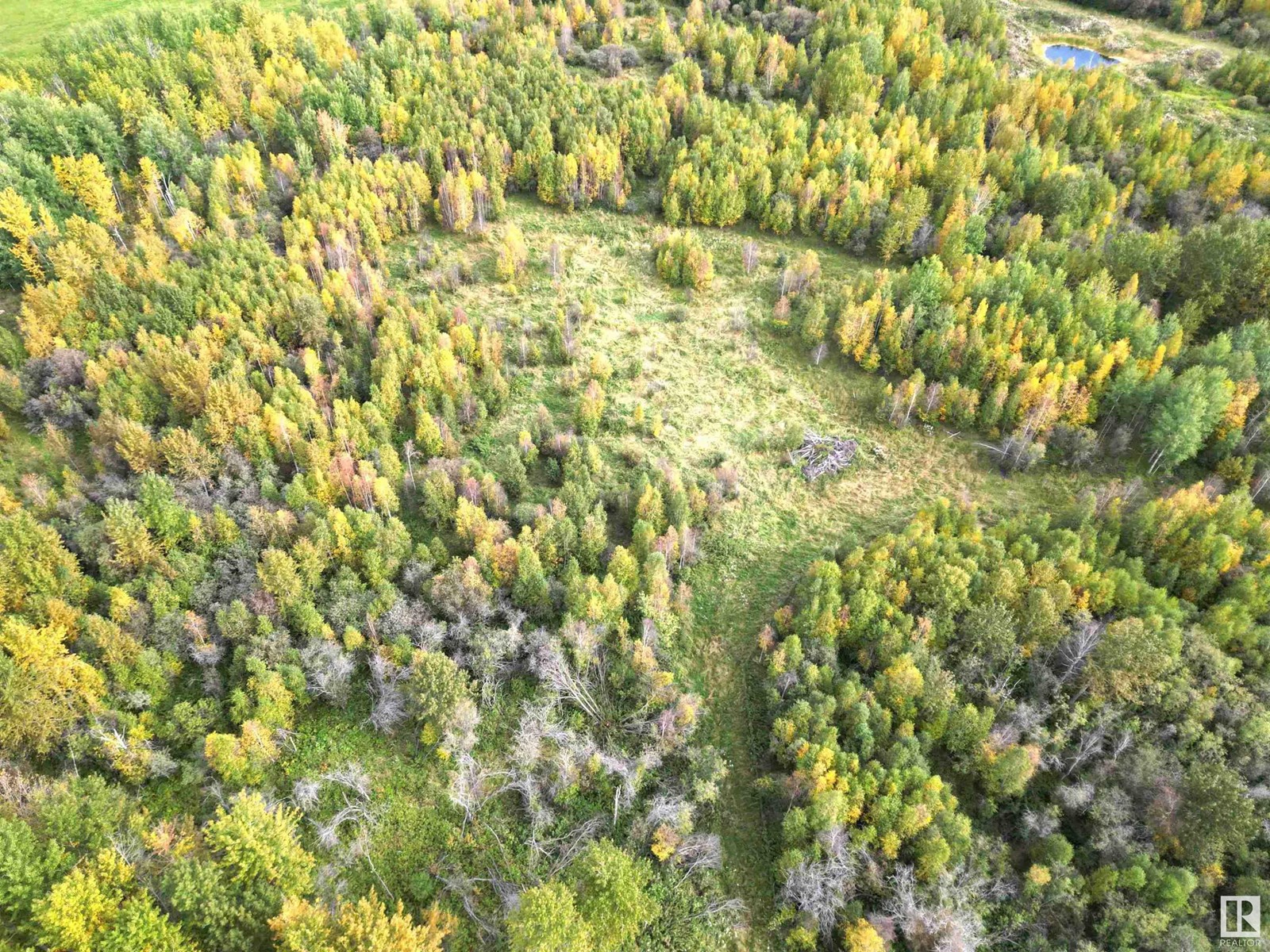 47516 Rge Rd 53, Rural Brazeau County, Alberta  T0C 0P0 - Photo 7 - E4407241