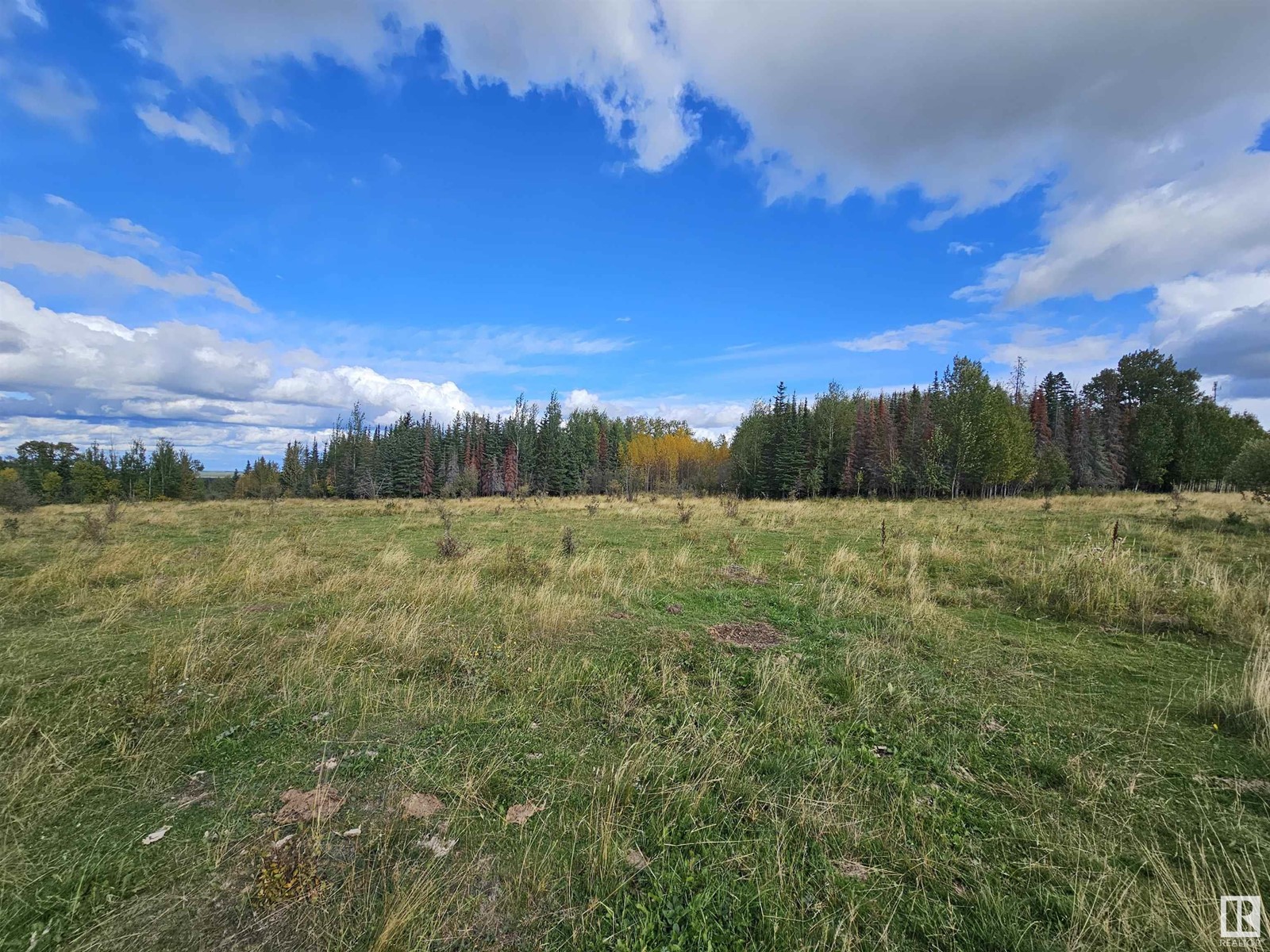 455044 Rge Rd 73, Rural Wetaskiwin County, Alberta  T0C 0A0 - Photo 10 - E4407593