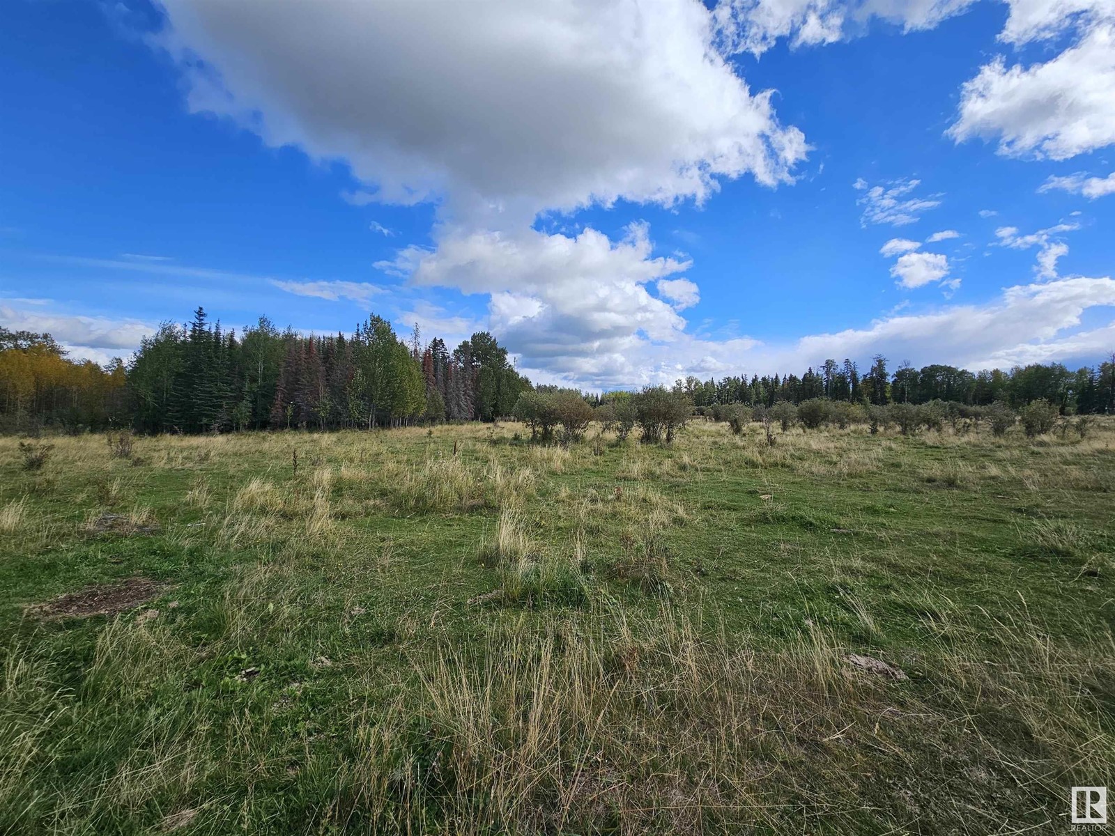 455044 Rge Rd 73, Rural Wetaskiwin County, Alberta  T0C 0A0 - Photo 11 - E4407593