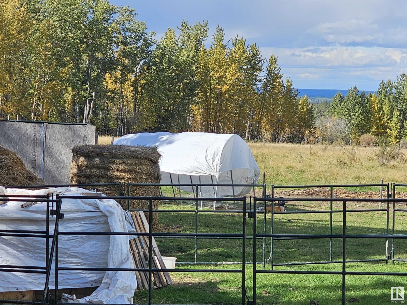 455044 Rge Rd 73, Rural Wetaskiwin County, Alberta  T0C 0A0 - Photo 13 - E4407593