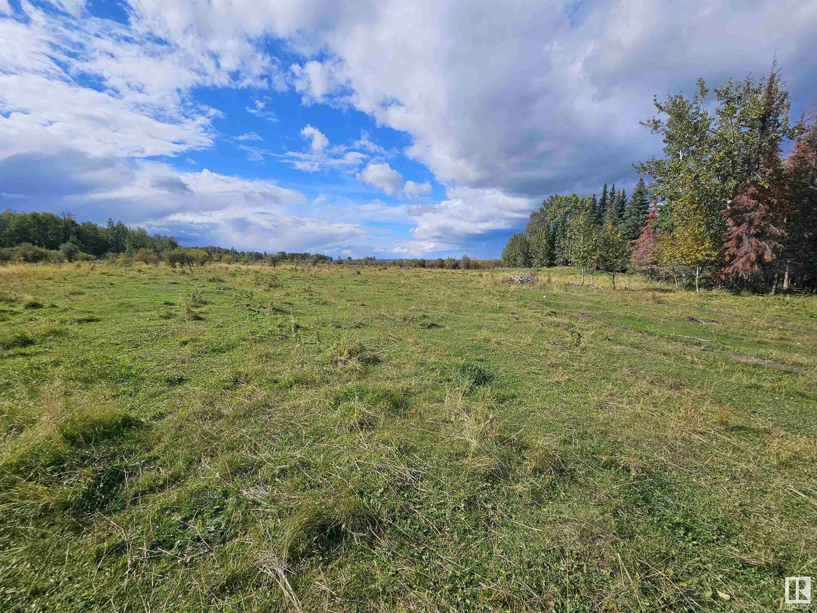 455044 Rge Rd 73, Rural Wetaskiwin County, Alberta  T0C 0A0 - Photo 6 - E4407593