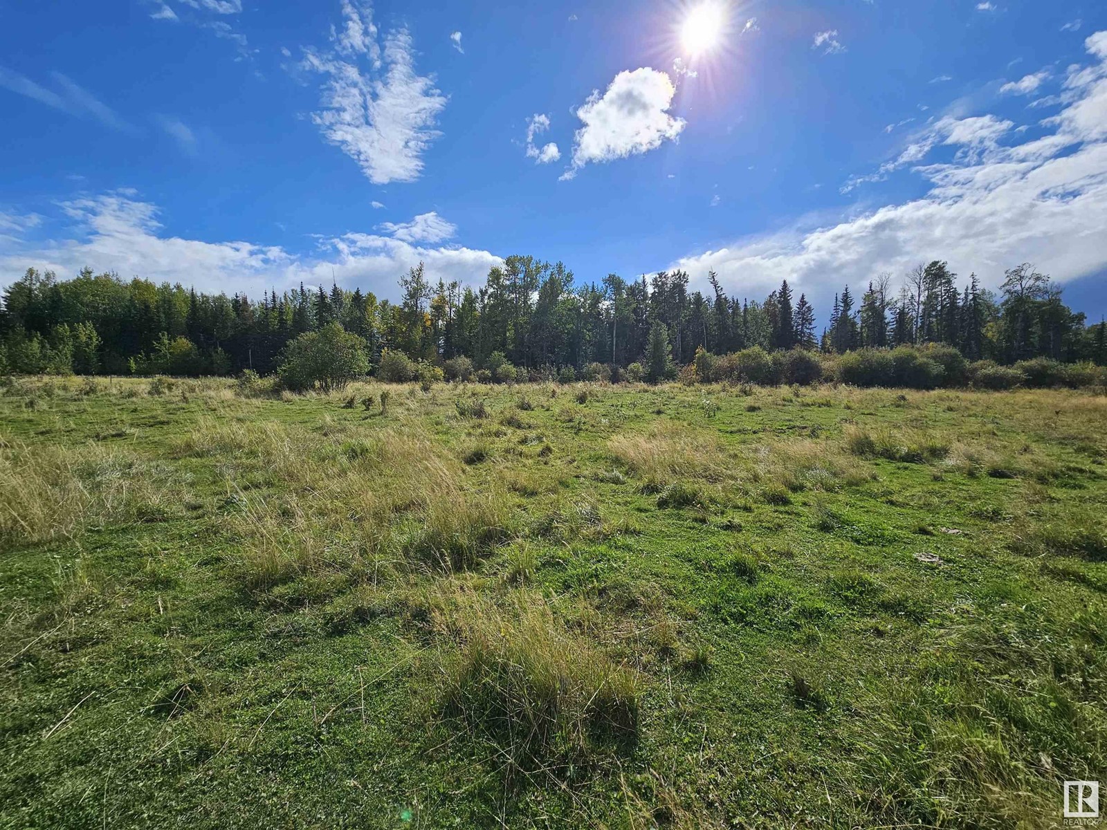 455044 Rge Rd 73, Rural Wetaskiwin County, Alberta  T0C 0A0 - Photo 7 - E4407593