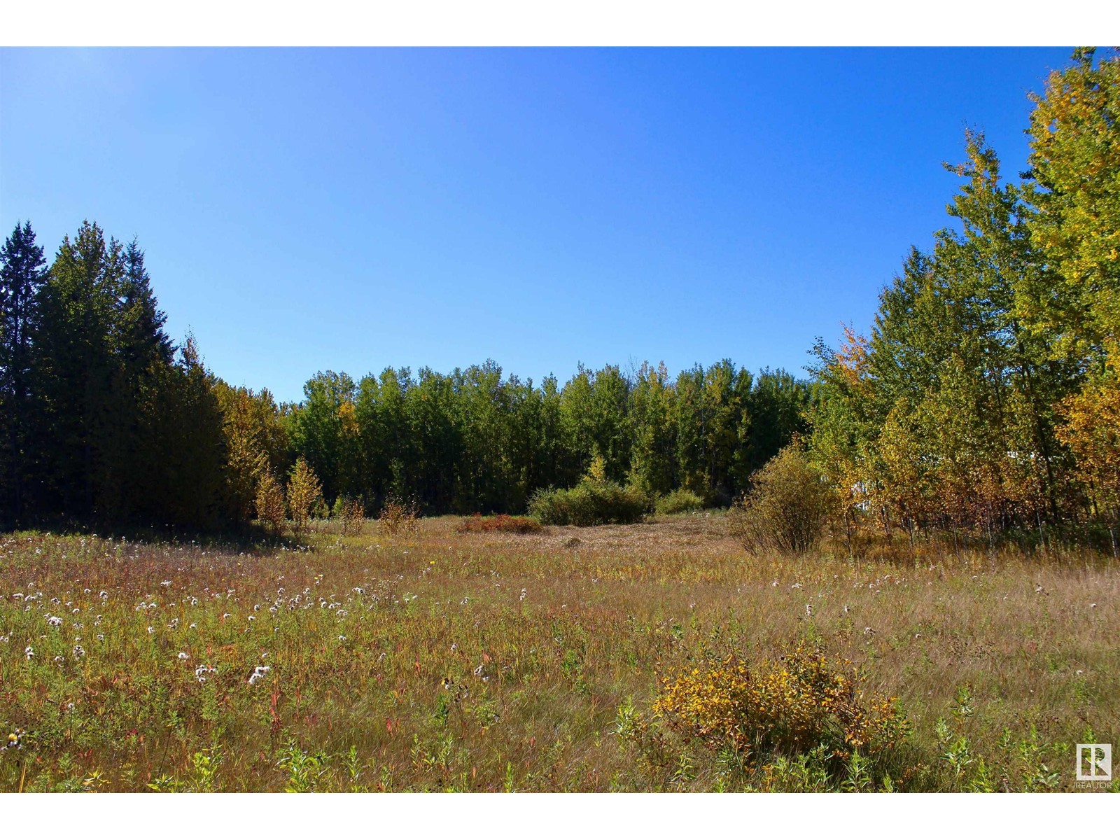 #113 50529 Rge Road 21, Rural Parkland County, Alberta  T0E 2N4 - Photo 1 - E4408241