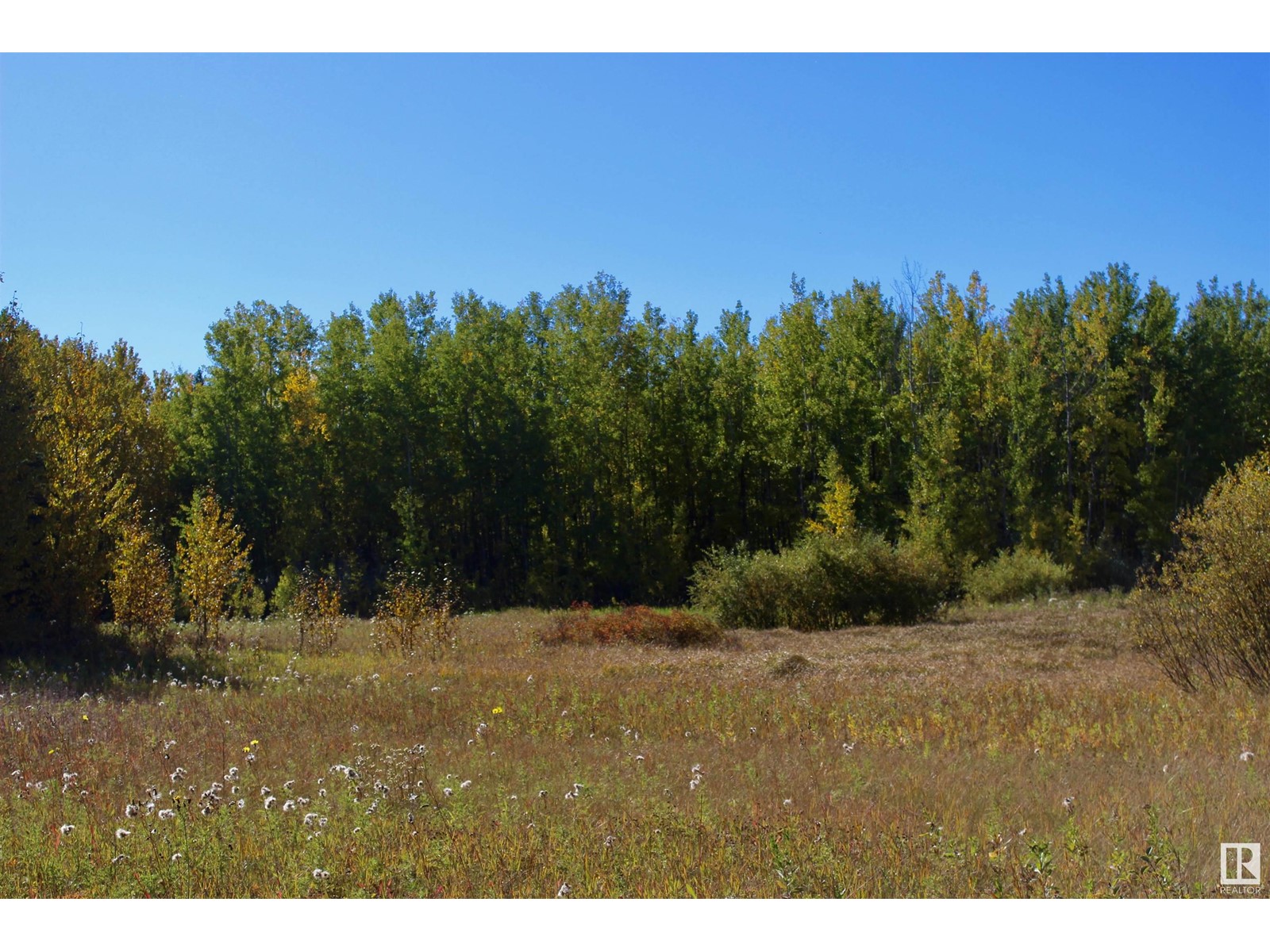 #113 50529 Rge Road 21, Rural Parkland County, Alberta  T0E 2N4 - Photo 10 - E4408241