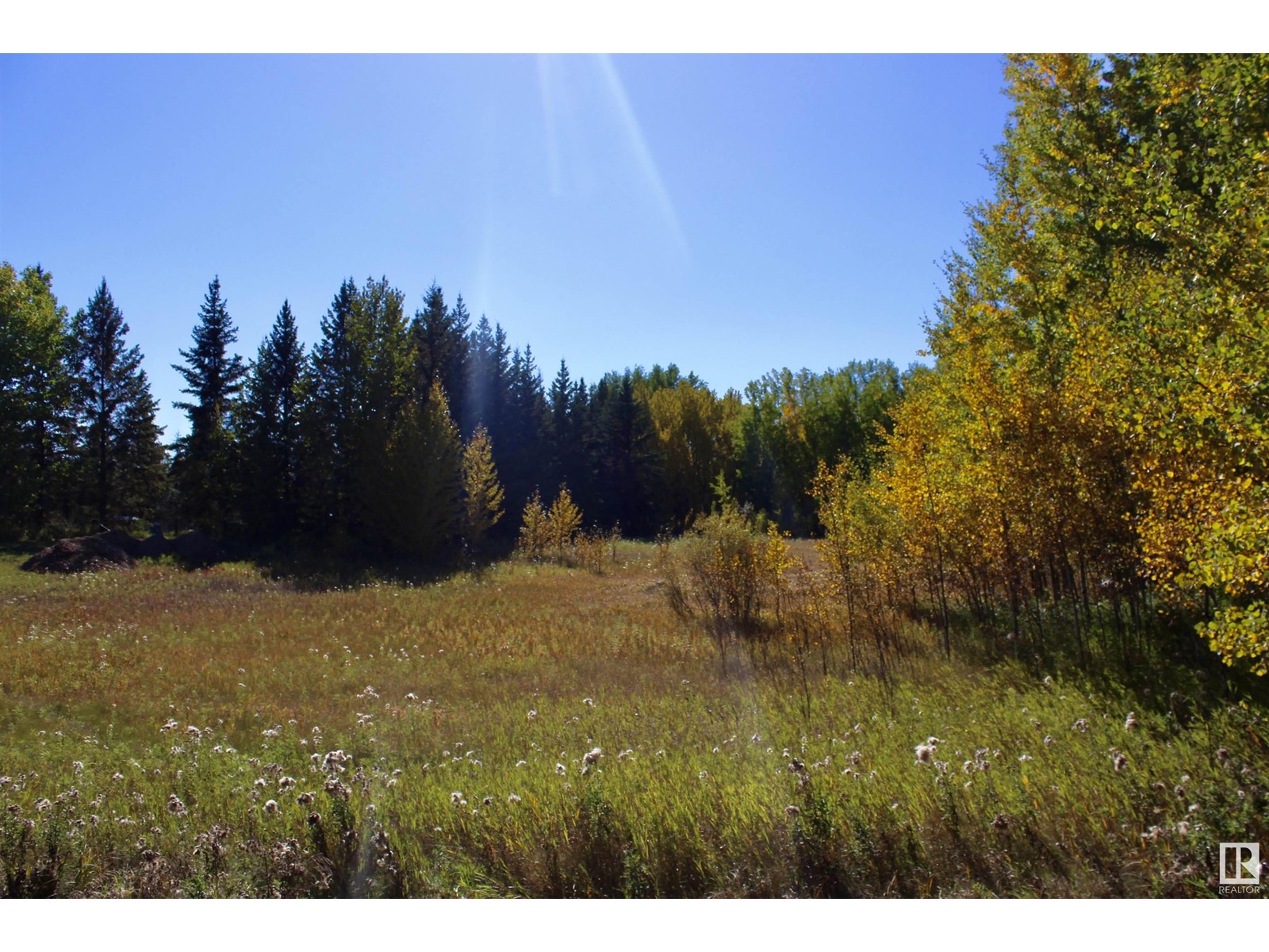 #113 50529 Rge Road 21, Rural Parkland County, Alberta  T0E 2N4 - Photo 11 - E4408241