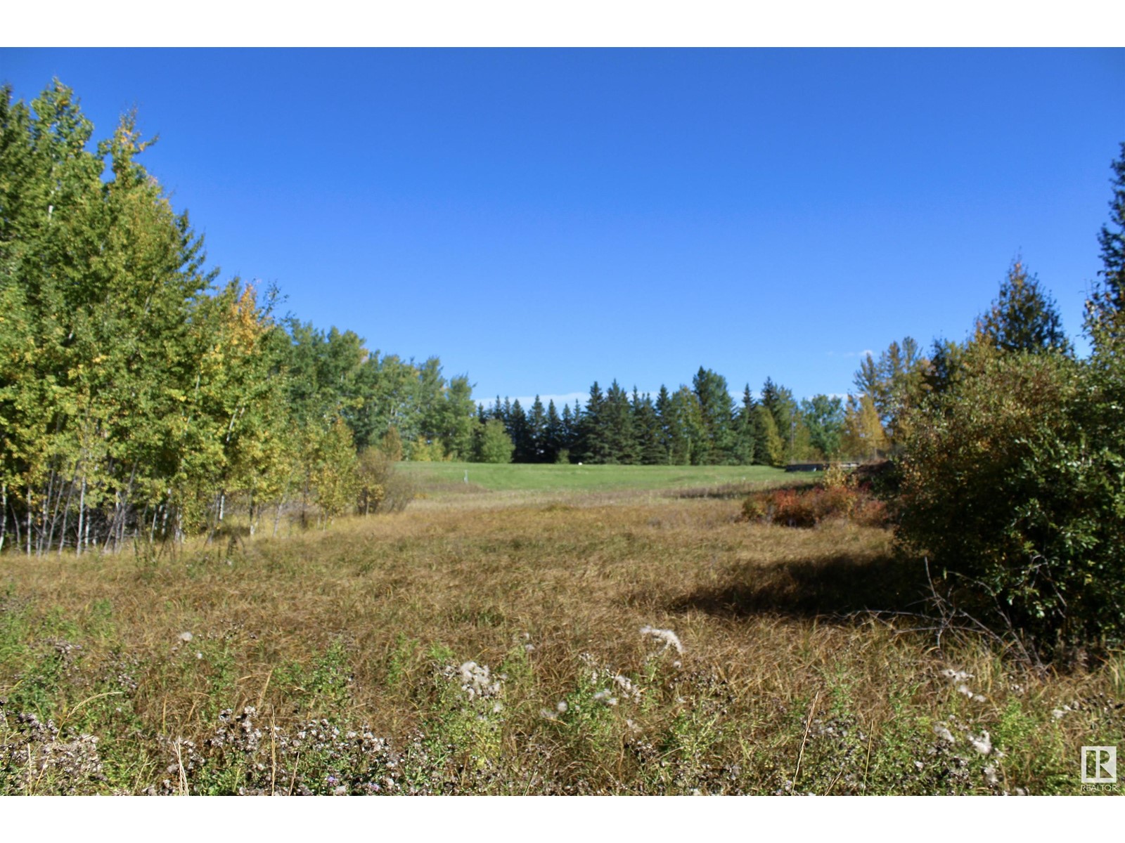 #113 50529 Rge Road 21, Rural Parkland County, Alberta  T0E 2N4 - Photo 13 - E4408241