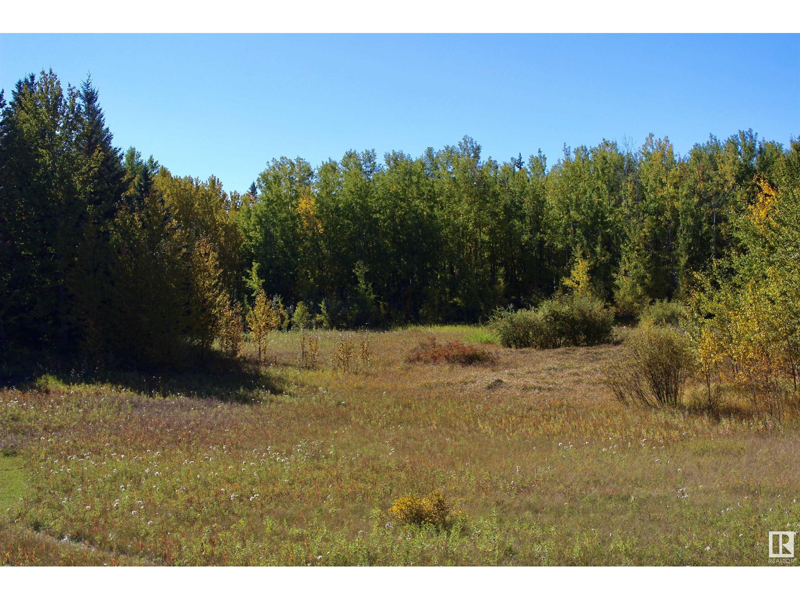 #113 50529 Rge Road 21, Rural Parkland County, Alberta  T0E 2N4 - Photo 6 - E4408241