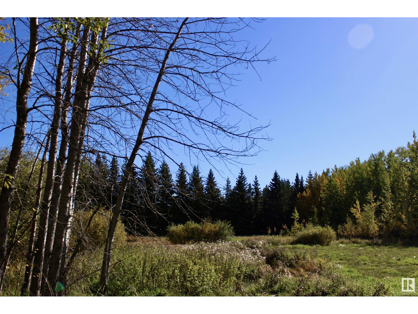 #113 50529 Rge Road 21, Rural Parkland County, Alberta  T0E 2N4 - Photo 7 - E4408241