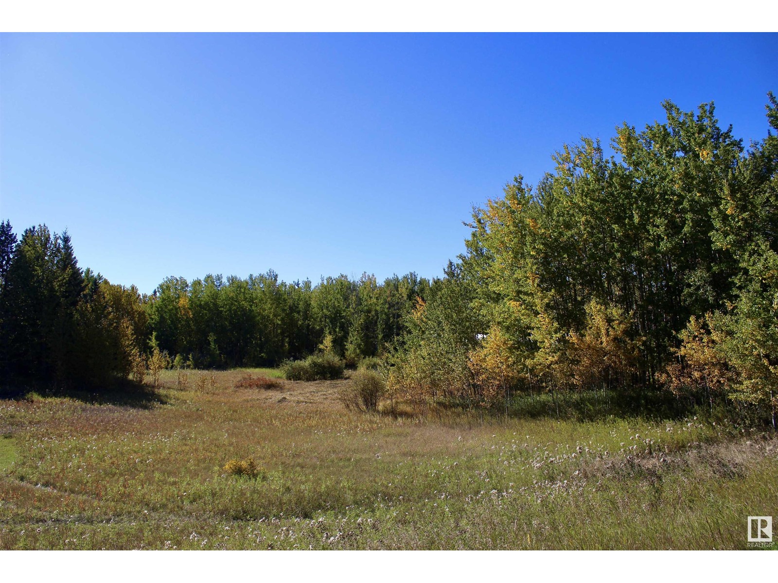 #113 50529 Rge Road 21, Rural Parkland County, Alberta  T0E 2N4 - Photo 8 - E4408241