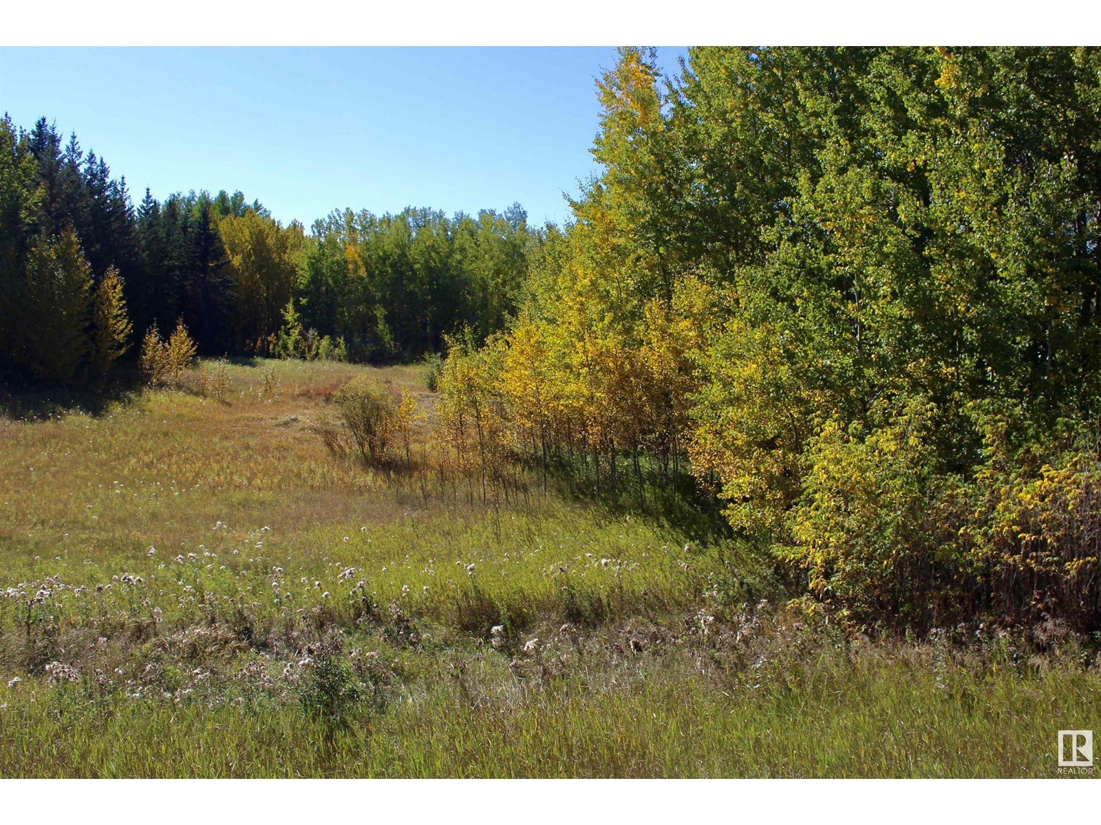 #113 50529 Rge Road 21, Rural Parkland County, Alberta  T0E 2N4 - Photo 9 - E4408241