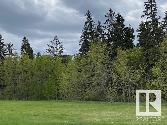 205 54425 St Anne Trail, Rural Lac Ste. Anne County, Alberta  T0E 0A0 - Photo 2 - E4408505