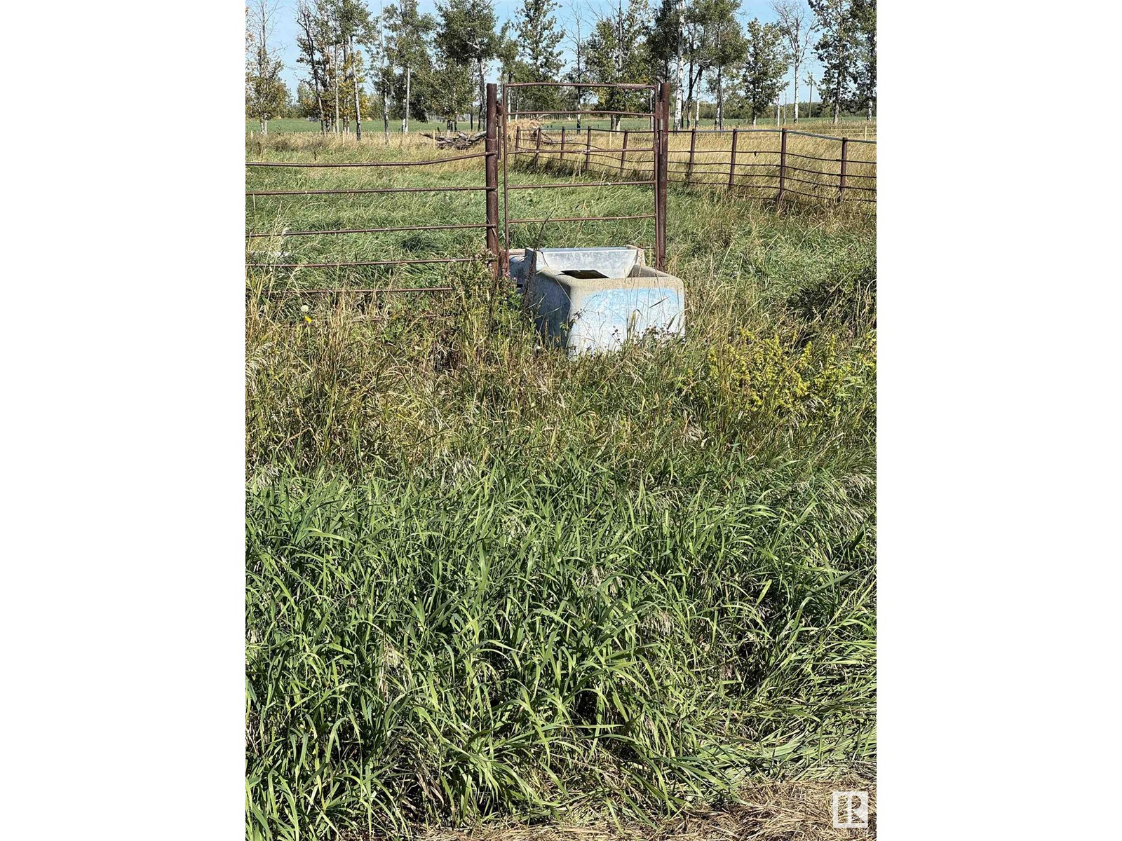 48516 Hwy 22 House B; C, Rural Brazeau County, Alberta  T0C 0S0 - Photo 39 - E4408728