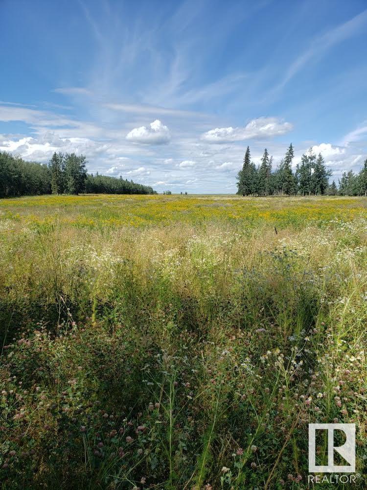 Rr 50 Twp 532 None, Rural Parkland County, Alberta  T0E 0V0 - Photo 2 - E4408770