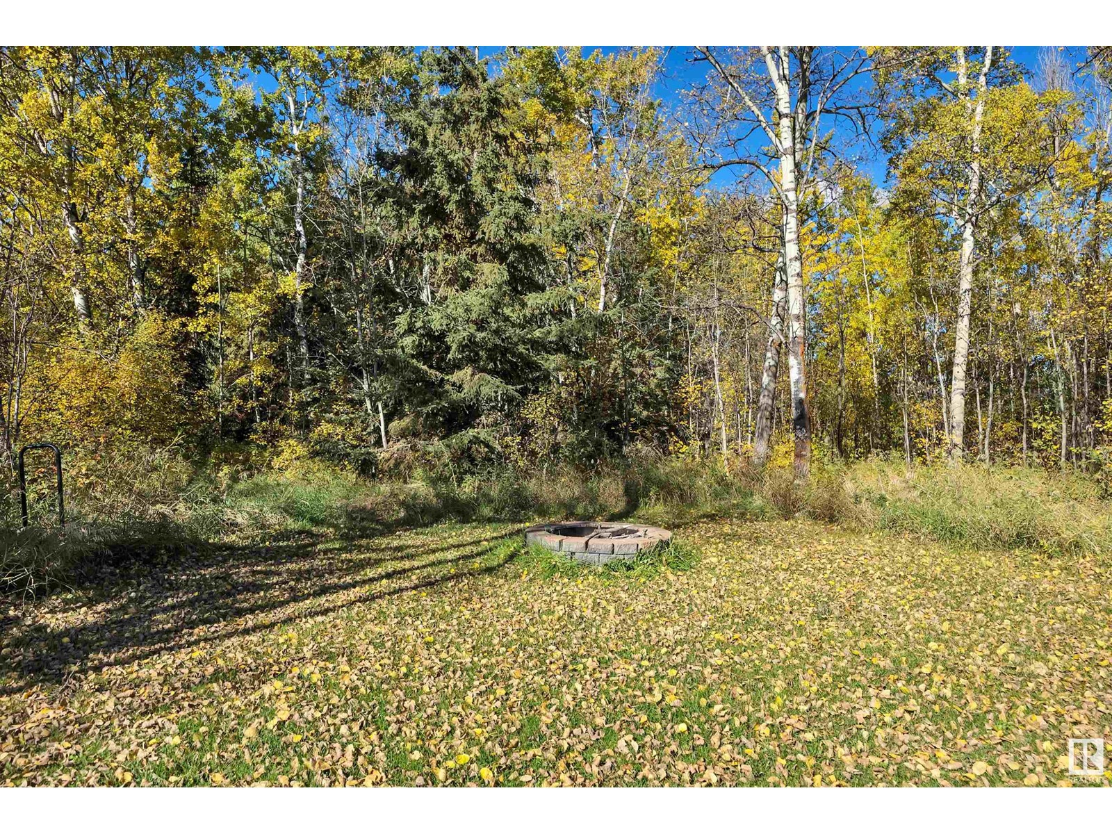 46 454072 Rge Rd 11, Rural Wetaskiwin County, Alberta  T0C 2V0 - Photo 48 - E4408833