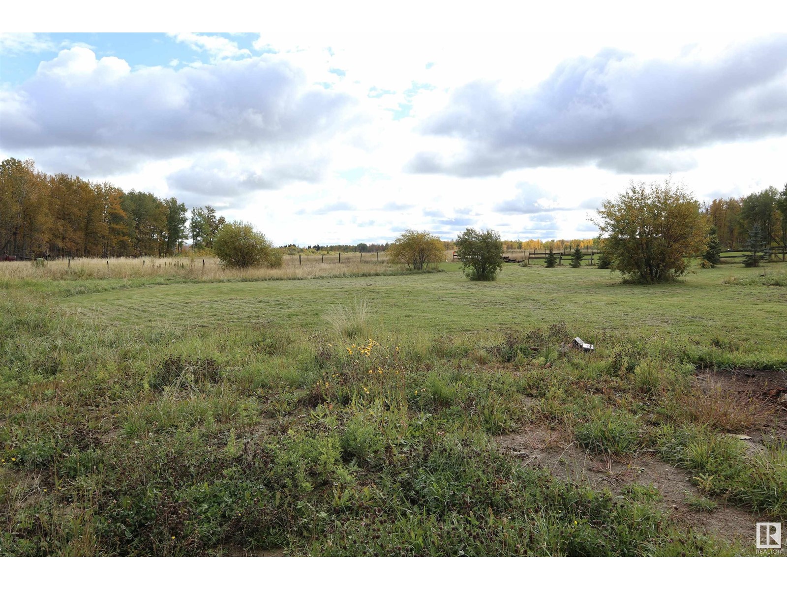 Part Of Sw-33-47-2-W5, Rural Leduc County, Alberta  T0C 2T0 - Photo 10 - E4409163