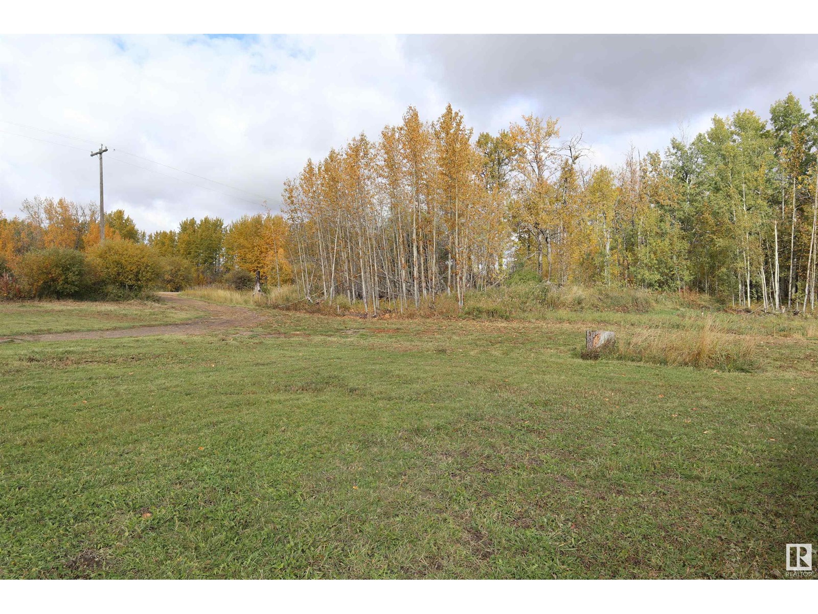 Part Of Sw-33-47-2-W5, Rural Leduc County, Alberta  T0C 2T0 - Photo 11 - E4409163