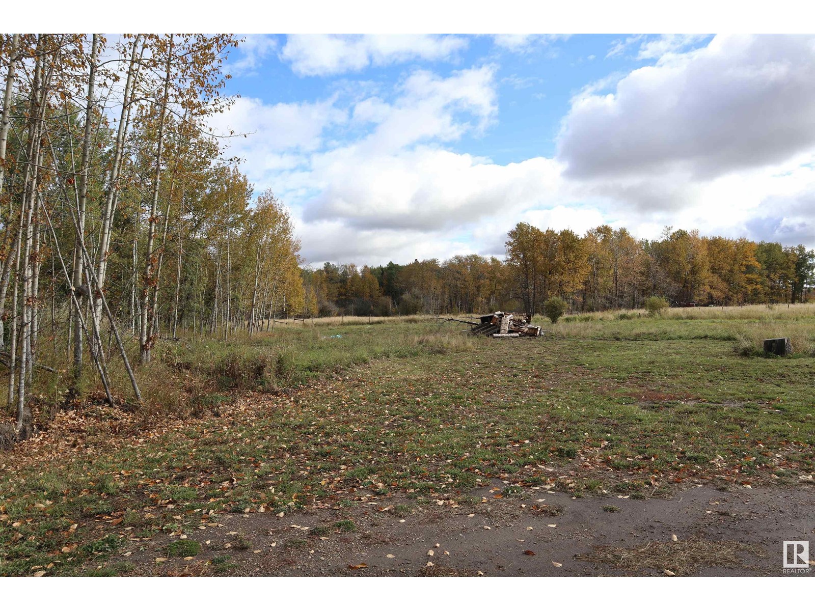 Part Of Sw-33-47-2-W5, Rural Leduc County, Alberta  T0C 2T0 - Photo 4 - E4409163