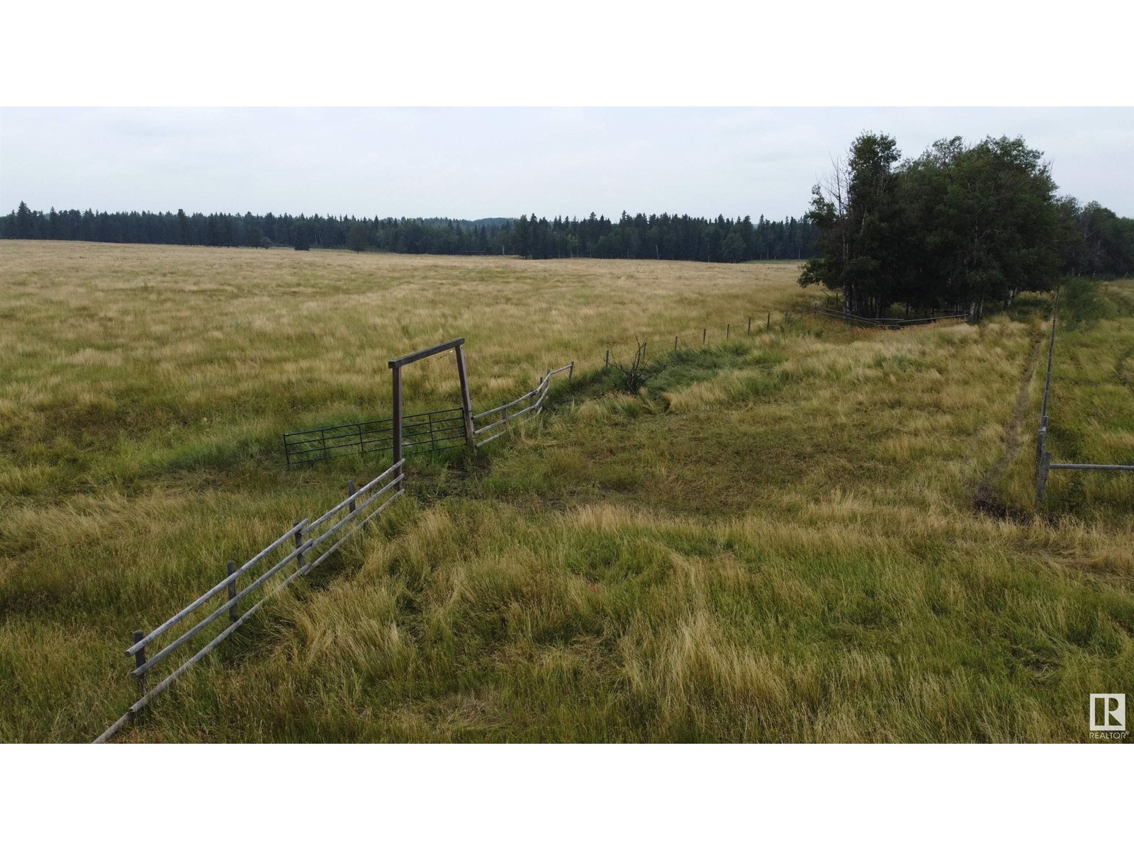 Rr 23 Twprd 494, Rural Leduc County, Alberta  T0C 2P0 - Photo 1 - E4409414