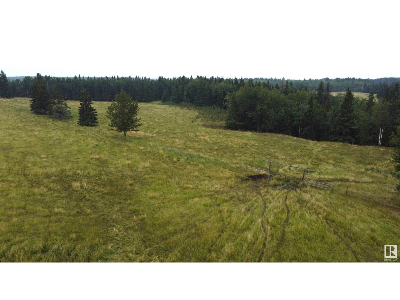 Rr 23 Twprd 494, Rural Leduc County, Alberta  T0C 2P0 - Photo 11 - E4409414