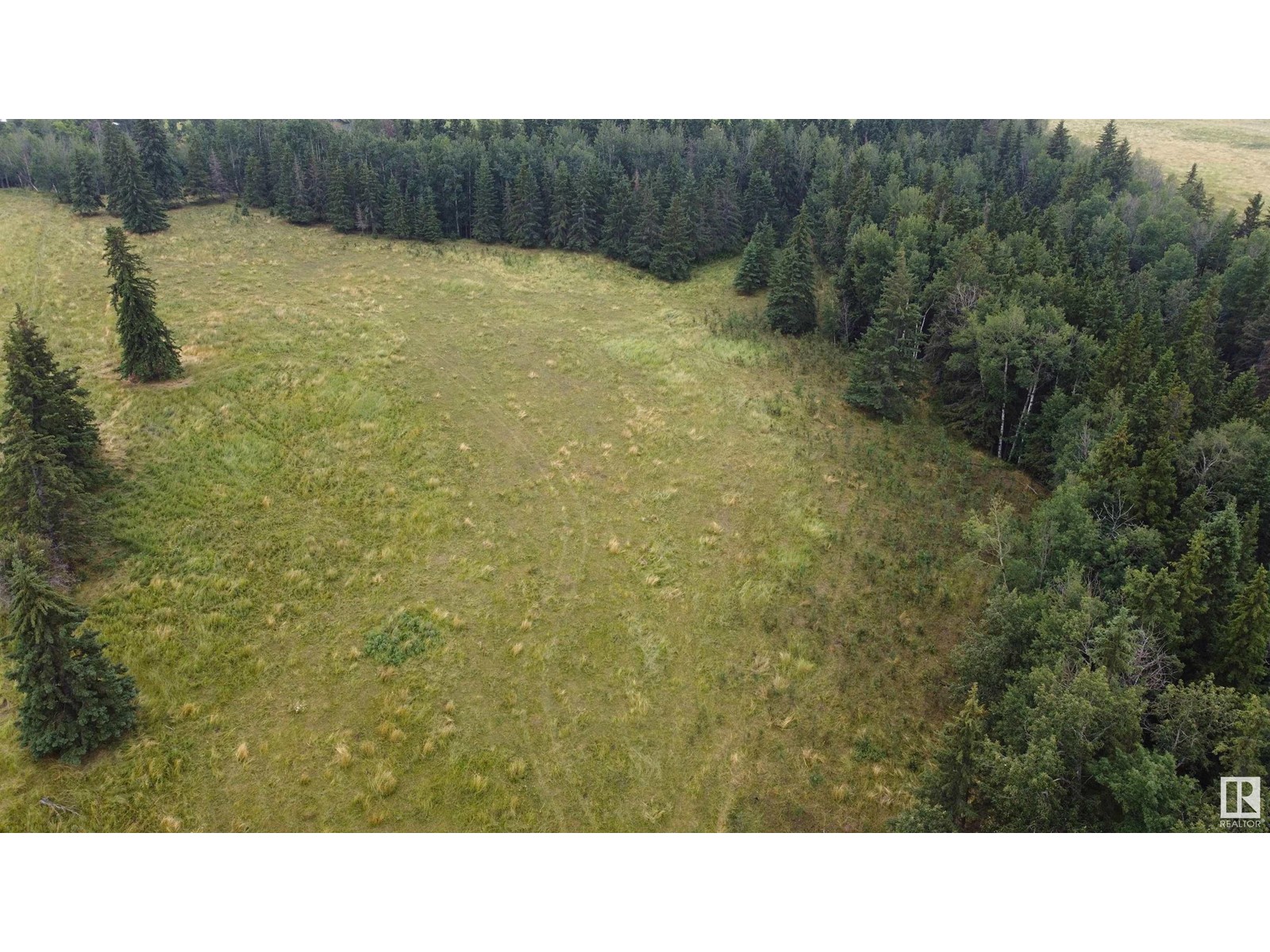 Rr 23 Twprd 494, Rural Leduc County, Alberta  T0C 2P0 - Photo 14 - E4409414