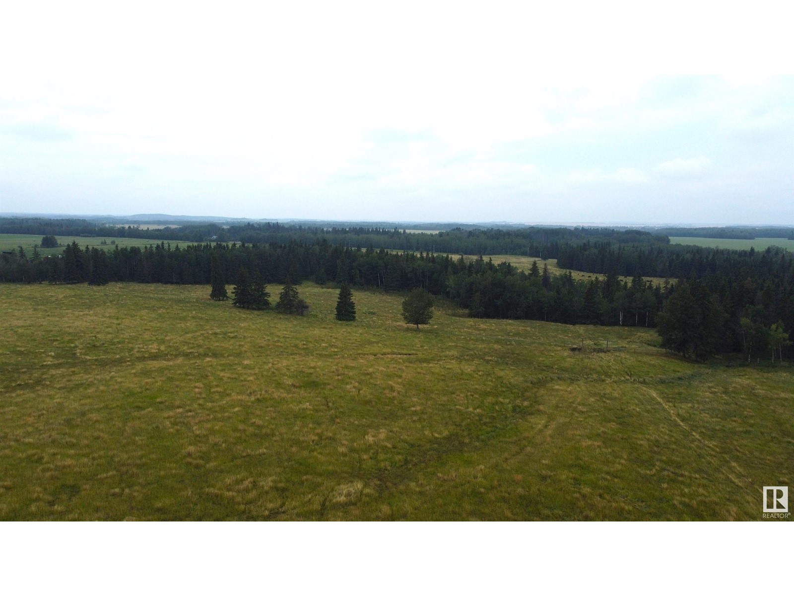 Rr 23 Twprd 494, Rural Leduc County, Alberta  T0C 2P0 - Photo 5 - E4409414