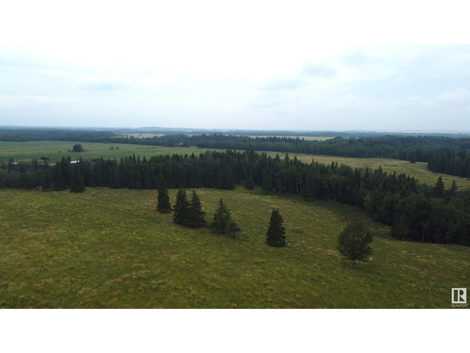 Rr 23 Twprd 494, Rural Leduc County, Alberta  T0C 2P0 - Photo 7 - E4409414