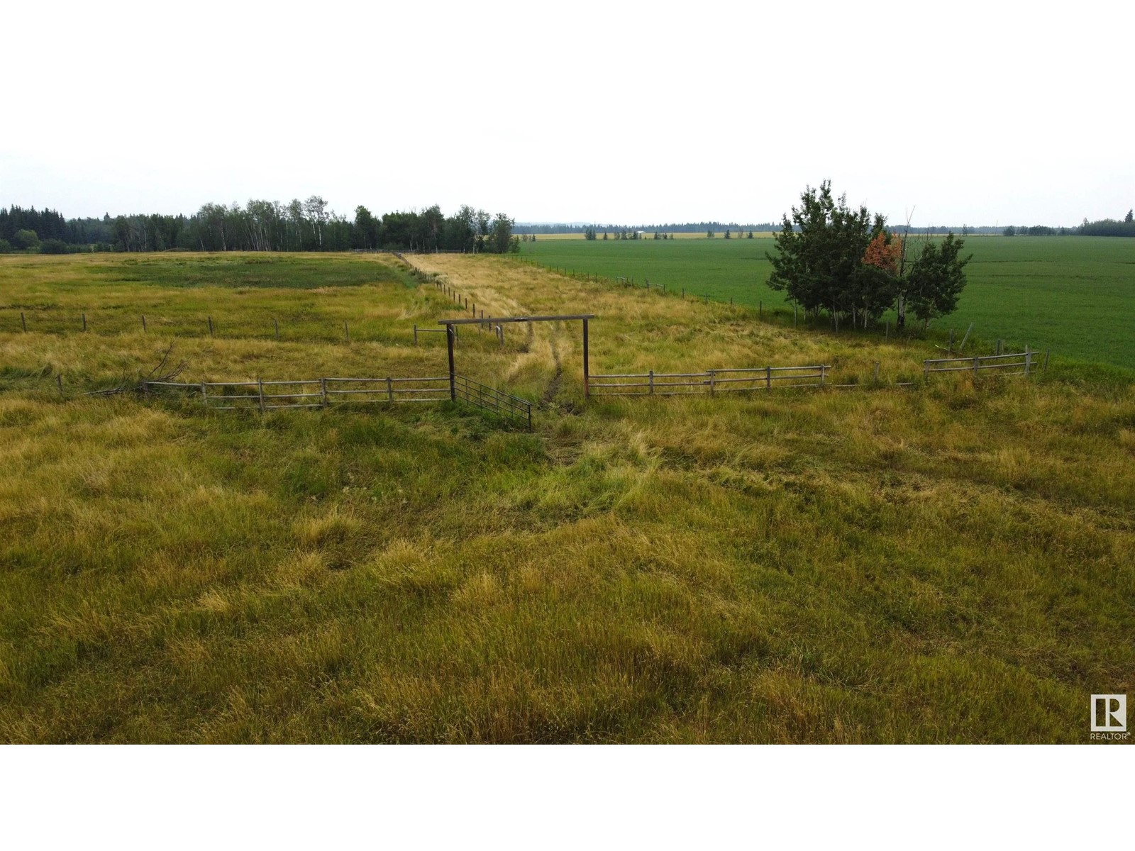 Rr 23 Twprd 494, Rural Leduc County, Alberta  T0C 2P0 - Photo 9 - E4409414