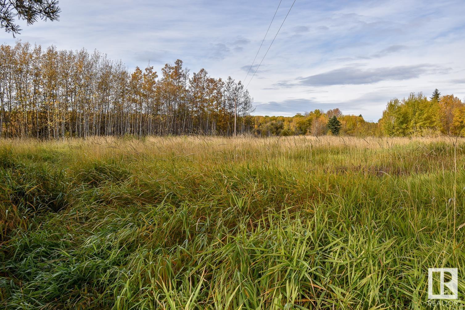 5006 Trail Of 1898, Rural Lac Ste. Anne County, Alberta  T0E 0J0 - Photo 53 - E4409546