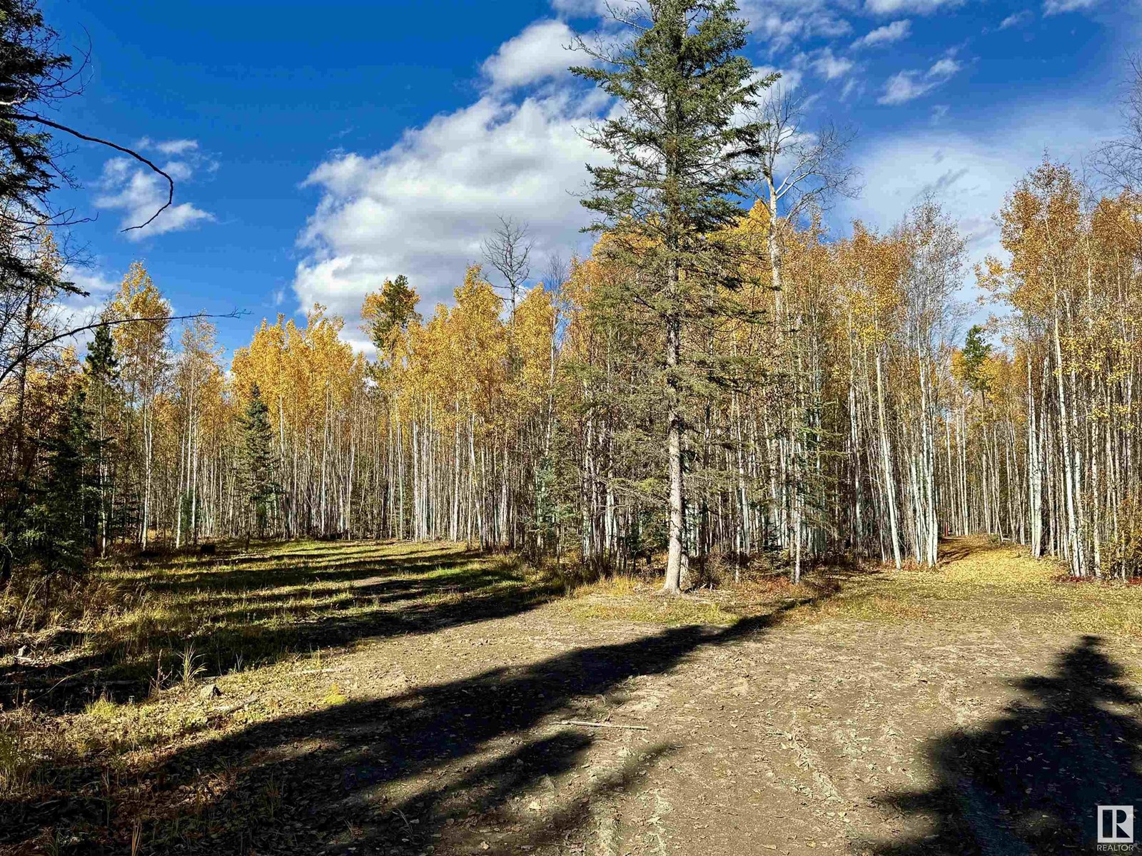 8408A Twp RD 503, rural brazeau county, Alberta