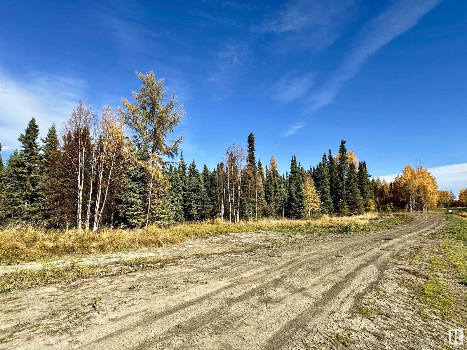 8408a Twp Rd 503, Rural Brazeau County, Alberta  T7A 0C1 - Photo 2 - E4409683