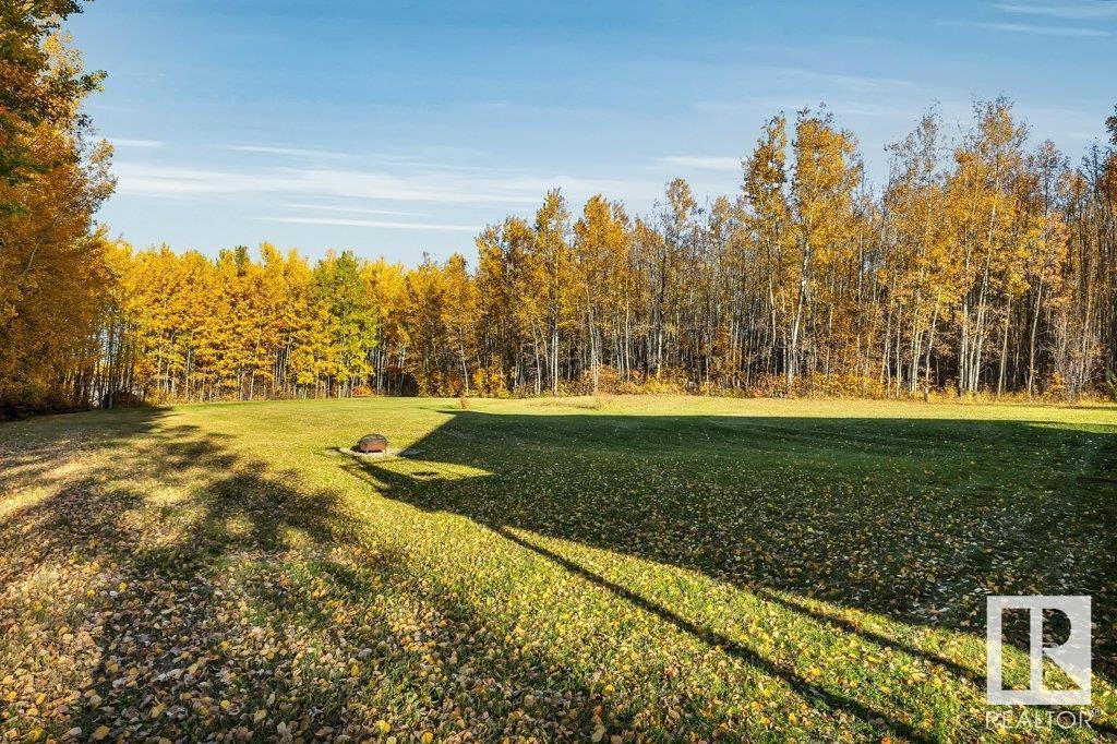 228 462054 Rge Rd 11, Rural Wetaskiwin County, Alberta  T0C 2V0 - Photo 45 - E4410218